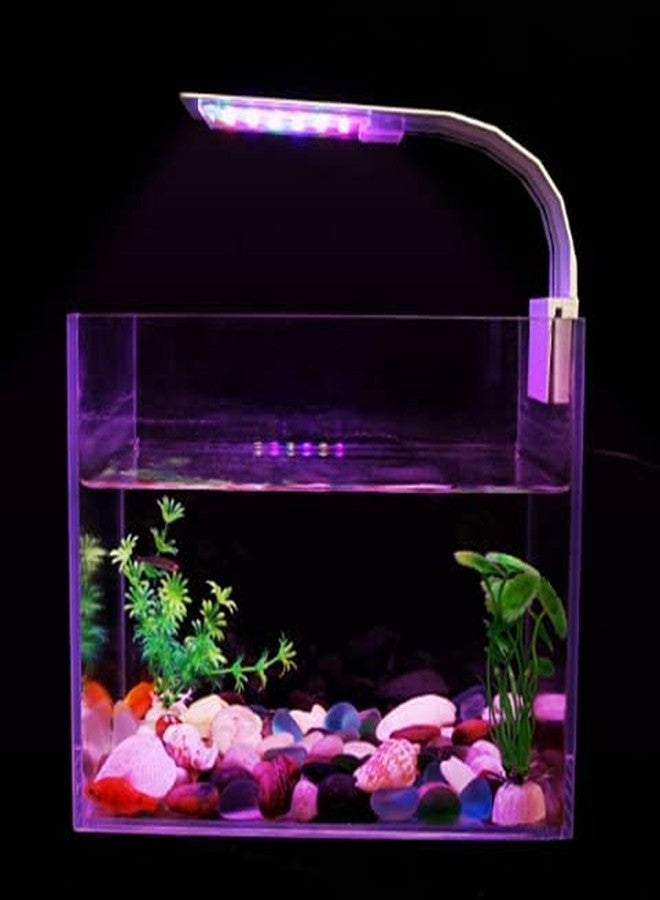 VAYINATO PetzLifeworld Coco Ultra Slim Thin WRGB White Clip On Light 12 W Suitable for 30-40 cm Tank (M-20) - Image 2